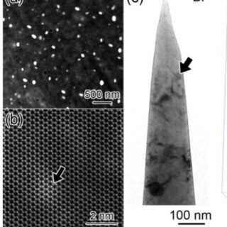 Excess Vacancy Enabled Transformations in Light alloys
